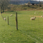 Agricultural