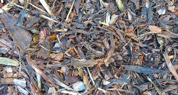 Bark Mulch & Landscaping