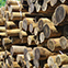 Round Posts