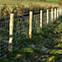 Round Posts